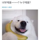 영조(아) 이미지