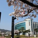 신한대학교 경기매일