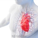 소리코이비인후과 이미지