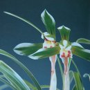 자산동244 이미지