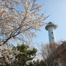 입파도·국화도