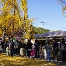 공영자전거대여소 이미지