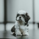 우정동물병원 이미지