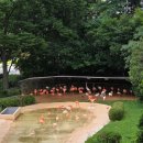 기린07-3 이미지