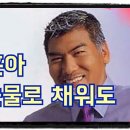 내삶을 눈물로 채워도 / 나훈아 이미지