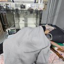 충남대학교 수의과대학 부속동물병원 네이버블로그