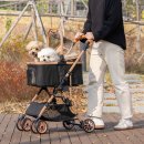 모두초이스 이미지