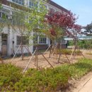 홍성공업고등학교 이미지