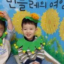 민들레여행 이미지