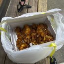 어달항회센터 | [묵호] 뚜벅이 혼자 여행 코스 2일차 완벽 정리!🌊