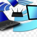 집에서도 간단히 반려견 미용 이미지