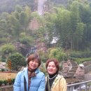 보봉 Daum카페