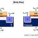 BODY EFFECT 이미지