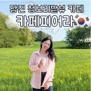 당진 카페 추천, 청보리밭뷰 카페피어라 주말 주차 포토존 후기