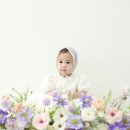 로이레스튜디오