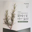 에벤에셀헤어클리닉 네이버블로그