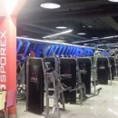 부광스포렉스 이미지