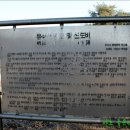 유석 선생 묘 및 신도비 이미지