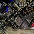 창신하와이 이미지