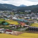 양지말전통조청협동조합 이미지