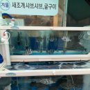죽림회포차