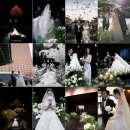 소울마리 | 이경호·앤드류권·세인트지지오티·소울페이지·테이크마인드·마리스튜디오·21그램·장석원 가격 및...