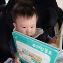 엄마의 그림책 놀이 이미지