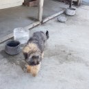 김경식 농장 이미지