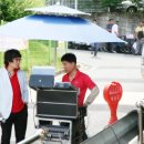 분도와안나개미꽃동산 이미지