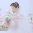 팔레트포레 이미지