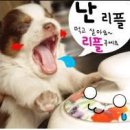 반송동236 이미지