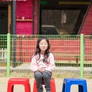 애견나라 이미지