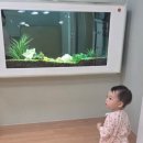 구립 파란하늘어린이집