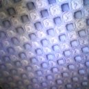 범모터스 이미지