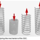 2CYCLE(2싸이클) 이미지