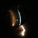 상상동물병원 이미지