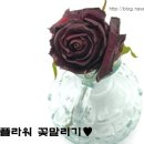 일조플라워 이미지