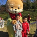 이른아침유치원 이미지