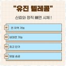 폰테크 네이버블로그