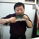 생선한입 이미지