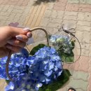 스튜디오올소 이미지