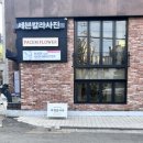 파쳄플라워 이미지