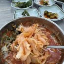 팔광호횟집 | 고성 팔광호횟집 물회 내돈내산 후기