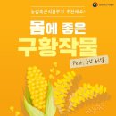 구황 이미지