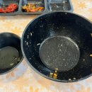 회와 멍게 친구들 이미지