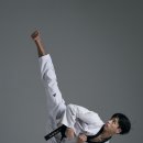 용인대 국가대표 태권도 2관 이미지