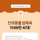 세종애견미용학원