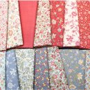 트레졸리 이미지