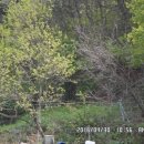 대조농장 이미지