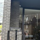 강남역 카페 트리오드, 그람단위로 케익을 주문하는 곳
